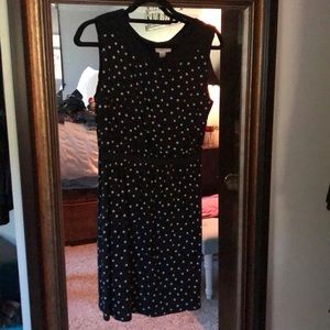 Polka dot LOFT dress